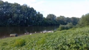 Новгород-Северский, Княжий град.  вечерняя Десна.