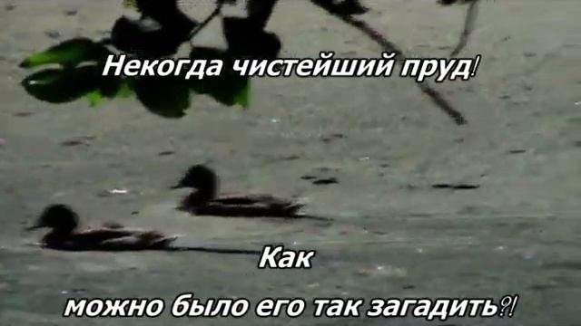 Коробовский сад