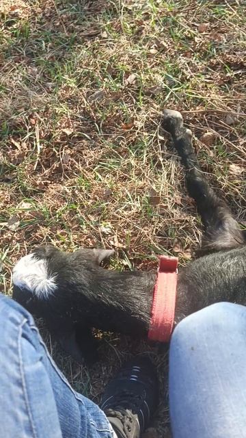 Радуемся солнышку! Не гуляем, а лежим как на пляже....