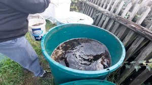 Огород в конце ноября.  Конский навоз, скошенная трава и зола - мои лучшие удобрения.