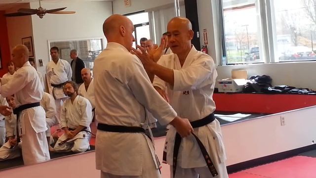 Taira Bunkai Seminar in Matawan New Jersey April 2014 Clip 3 of 7