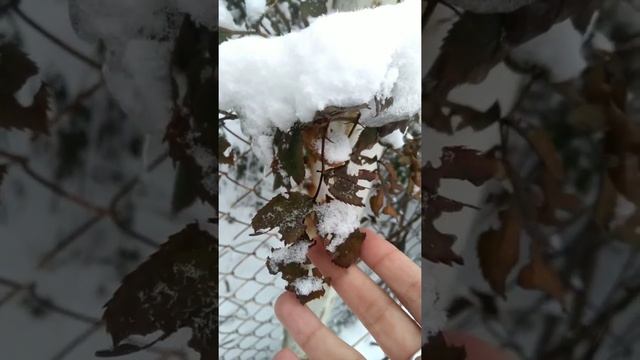 Прогулка по зимнему городу