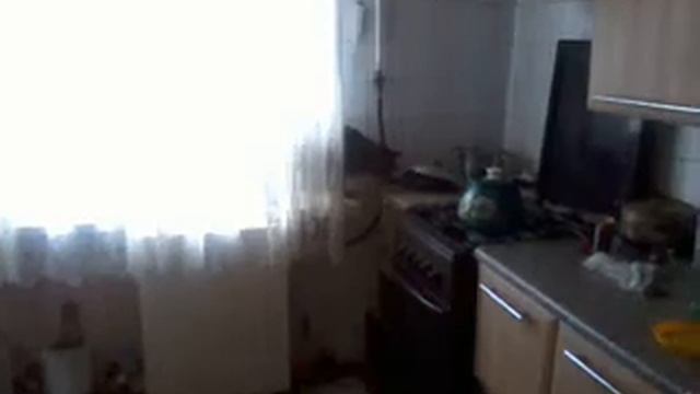 Кот кот который ворует рыбу. смотреть онлайн