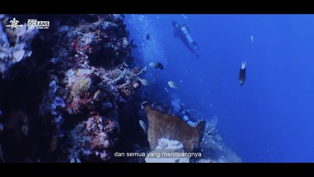 the OCEAN [ a film Celebrating World Ocean Day ] смотреть онлайн