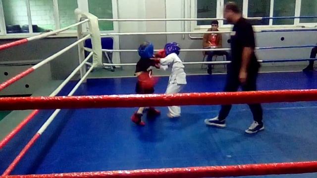 Sokrat Makaryan. VARDENIS
