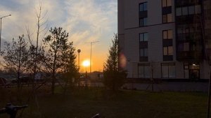 золотые лучи солнца вечером