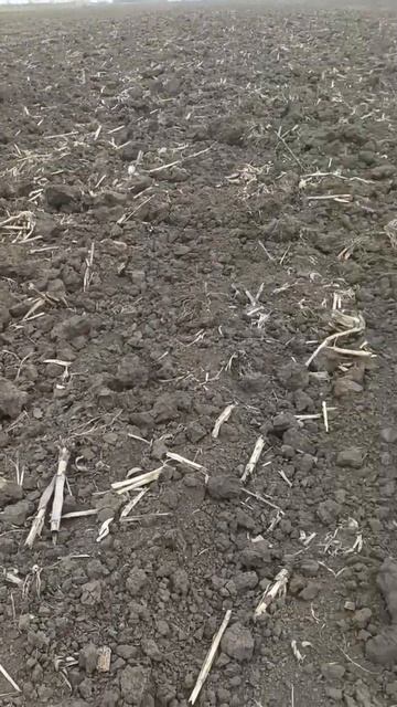 продолжение весельятрактористы механизатор трактора работа