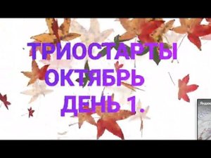 #триостарты_октябрь  Триостарты Октябрь. Мужская безрукавка.