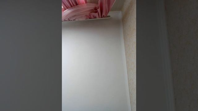 256. Яка та не любов. 20 лет такая любов и романтика... Промок до нитки. Тычеебанутый? Канчита? смотреть онлайн