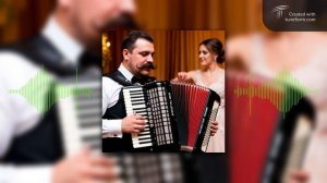 Новинка! Супер. На свадьбе кутерьма.