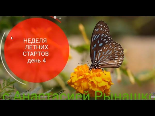 #летниестарты_с_рынашко Детский комбинезон для мальчика День 4.