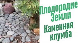 Каменная клумба.
