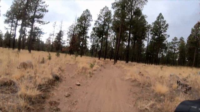 Bikepacking the Coconino Loop Slowly:  Day 12