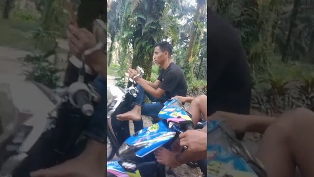 timbang momot смотреть онлайн