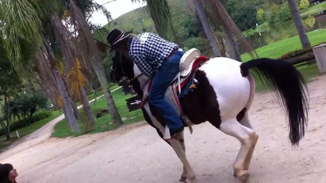 Fazzenda Park Hotel - Show Cavalo Dançante - III смотреть онлайн