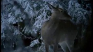 Дима Билан - Я тебя помню