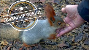 #сп_дыхание_осени #вязание_с_валентиной_романчук СП "ДЫХАНИЕ ОСЕНИ". Отчет 2.