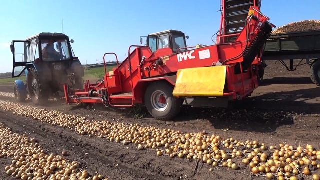 Уборка раннего лука комбайном IMAC(италия) смотреть онлайн