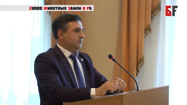 20000 животных убили в РБ Биккинин смотреть онлайн