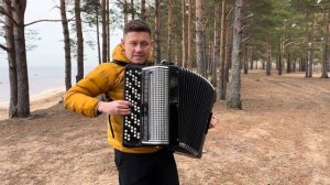 ЛЮБЭ - Берёзы ("Отчего так в России березы шумят?") - на баяне