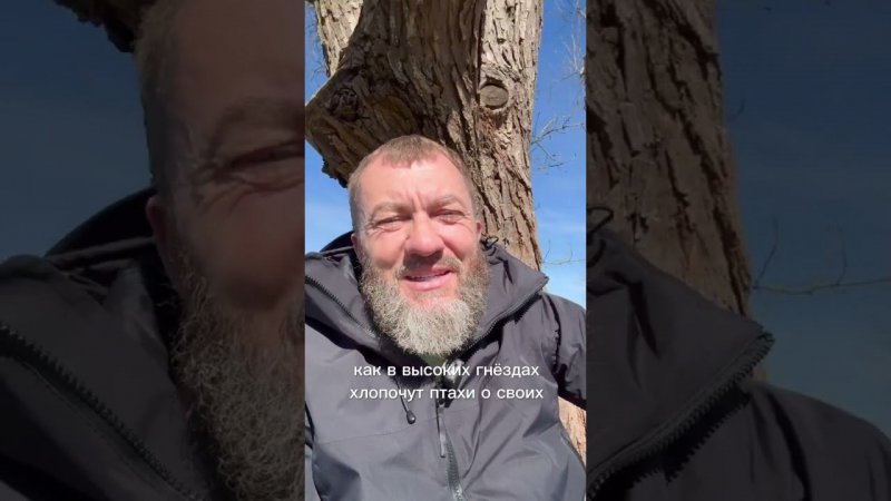 Всё чаще растворяюсь в тихих звездах. В летящих белоснежных облаках..