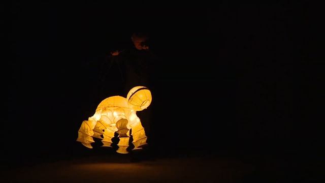 ПРЕДСТАВЛЕНИЕ СВЕТОВЫХ КУКОЛ (Театр Николая Зыкова, Москва)