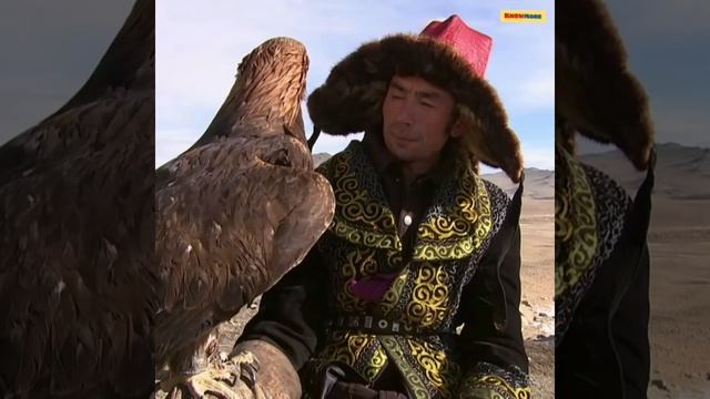 The Golden Eagle Hunters Of Mongolia | #shorts #knowmorefacts смотреть онлайн