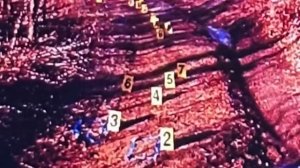 Студентка приехала домой и исчезла. Через несколько дней все узнали шокирующую правду