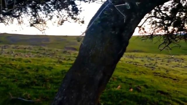 природа и горы  счастье  мотивация  VeraBar