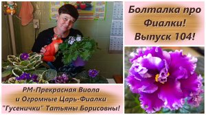 Болталка про Фиалки! Выпуск 104! РМ-Прекрасная Виола и Огромные Фиалки Гусенички Татьяны Борисовны!