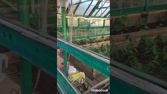03.06.-04.06.2023  небольшой обзор нашего сада и участка и генеральная уборка домика ( без видео) смотреть онлайн