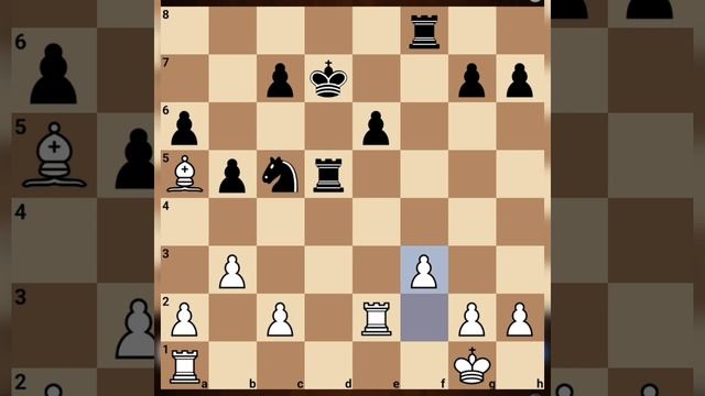🇷🇺Garry Kasparov vs viswanathan Anand 🇷🇺 (1978)💯#videos#impressions #chess#RussianGrandmasters#like