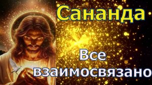 Сананда: Все взаимосвязано