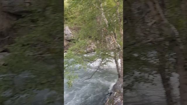 1 ноября 2022 г. смотреть онлайн