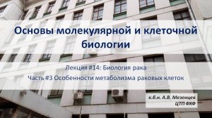 Основы молекулярной и клеточной биологии (2024) Л14 Биология рака. Ч3. Особенности метаболизма