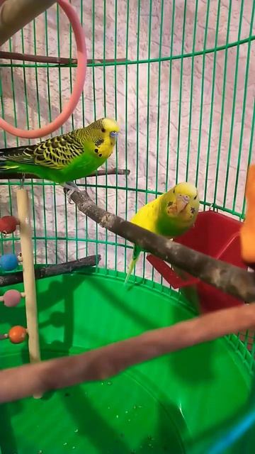 Милка Лунтик завтрак смотреть онлайн