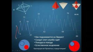 Встреча № 5 от 20-04-2025