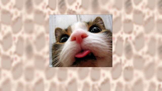 8 ши - guxi (speed up) смотреть онлайн