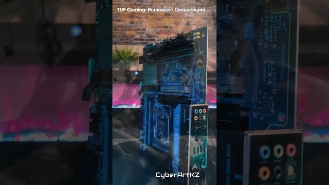 TUF Gaming: Выживает Сильнейший