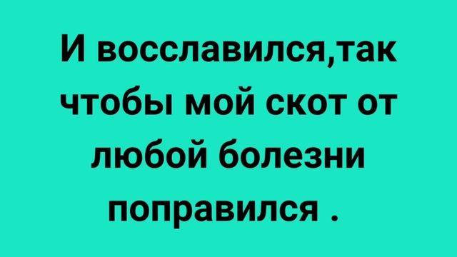 Молитва исцеления животных смотреть онлайн