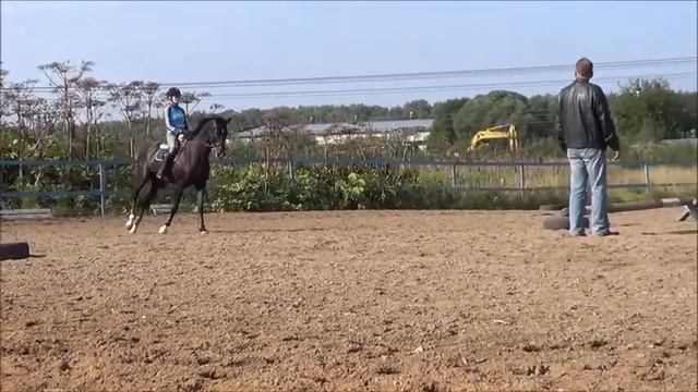 Алина и Амазон 02. 09. 2017г. смотреть онлайн