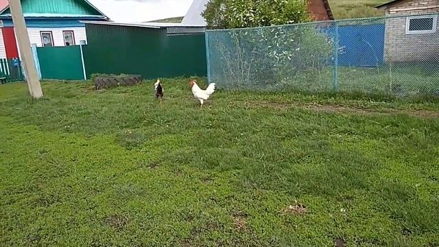 19 мая 2020 г. смотреть онлайн