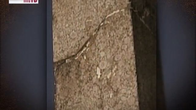 Ars_Longa_18-10-13 смотреть онлайн