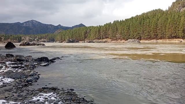 Прогулка по берегу  р.Катунь Горный Алтай, ♥️♥️♥️