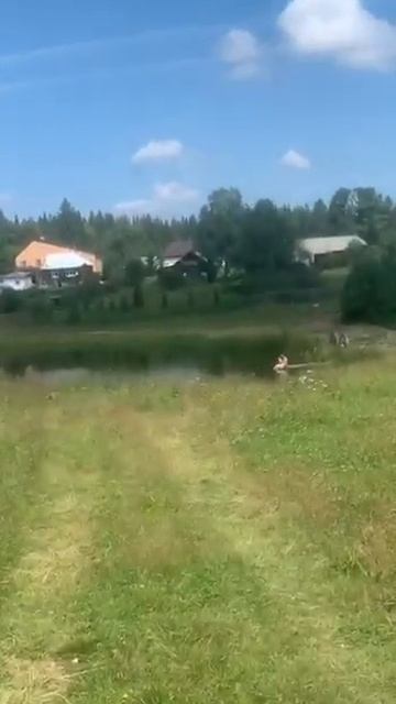 Дом Кузино смотреть онлайн