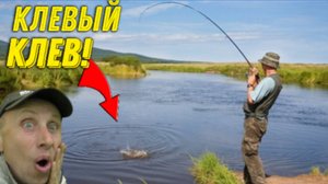 Рыбалка на СЛАВУ, Залез в КАМЫШИ а там РЫБЫ! Жарим Свежак на Дровах Ням Ням!!!