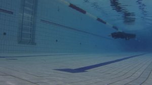 4 Тренировка 25.10.2015, фридайвинг, freediving.spb.ru