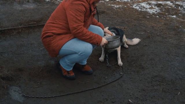 Miass.Live в гостях у Добрых рук