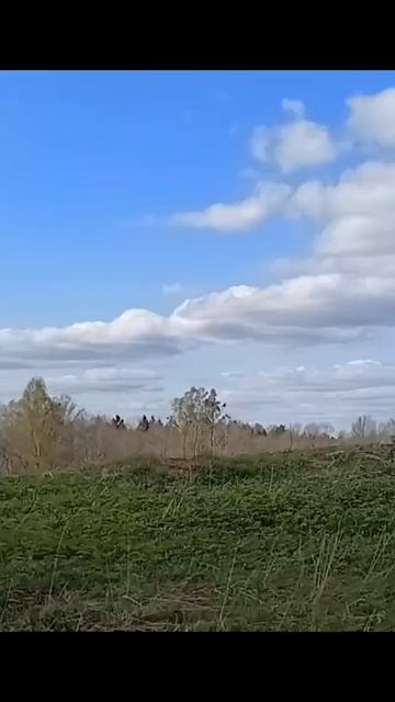 Начало мая 🍃 #природа #деревня #жизньвдеревне #весна #май #костёр #рекомендации #рек смотреть онлайн