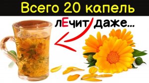 Годами мучилась, а спасла настойка КАЛЕНДУЛЫ! 85% людей не знают об ЭТОМ